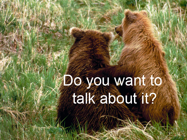 Two bears from behind with an arm over each other's shoulder, with the caption Do you want to talk about it?