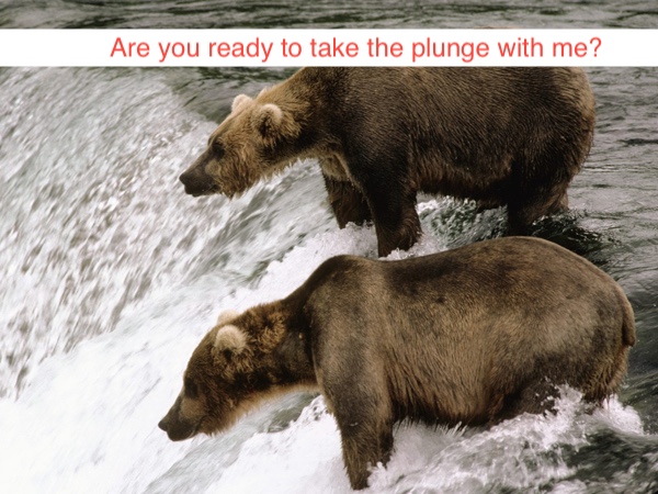 Two bears at a weir, with the caption Are you ready to take the plunge with me?