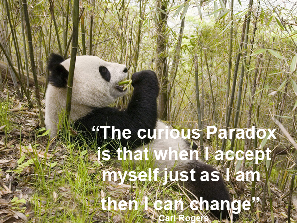 Panda eating bamboo, with the Carl Rogers quote: The curious paradox is that when I accept myself just as I am, then I can change